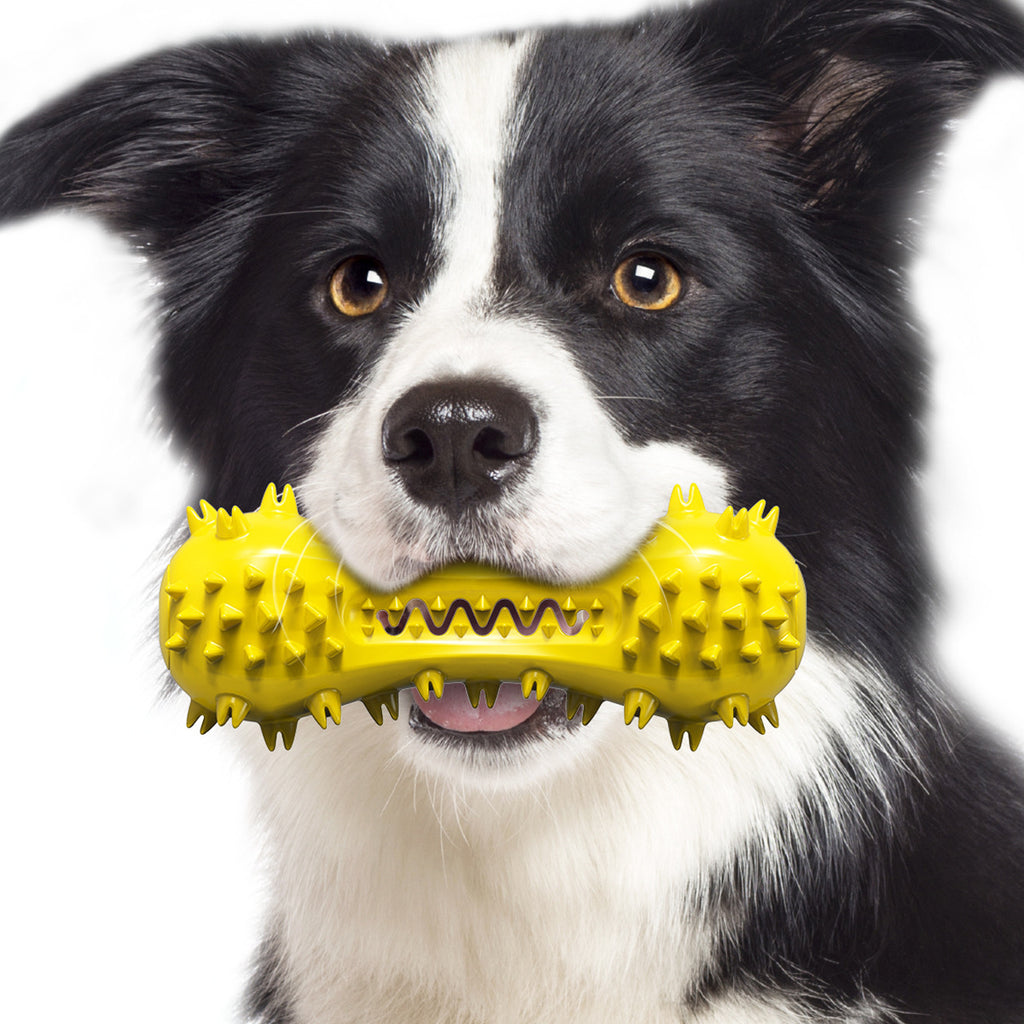 GrindGuard TPR Molar Chew Stick 🦷🐶 — Squeaky Teeth-Cleaning Bone Toy for Dogs
