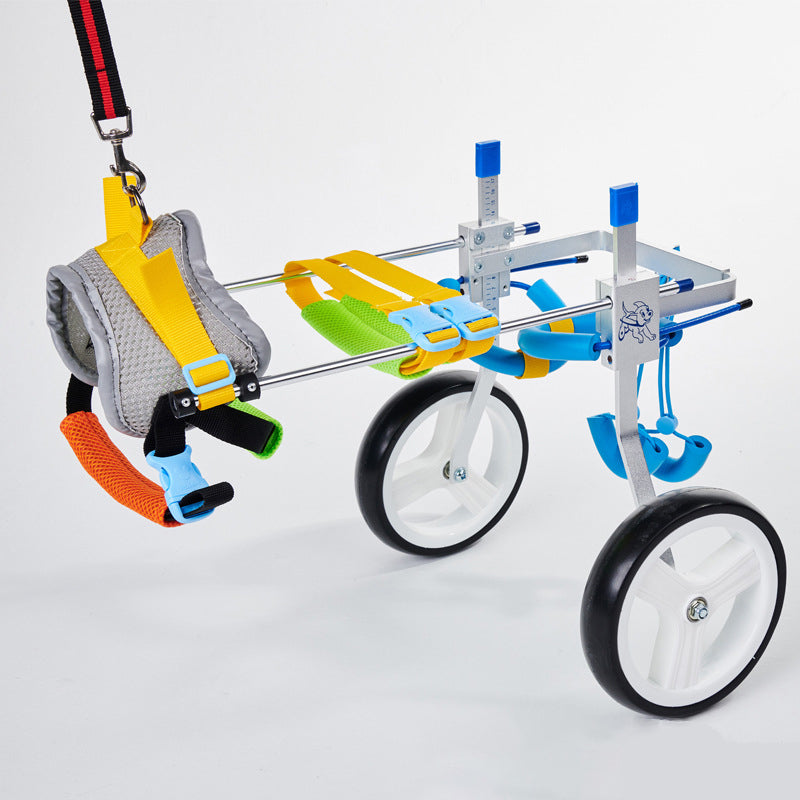 The WheelPaws Dog Wheelchair - Lightweight Mobility Support for Disabled & Senior Dogs! 🐾♿