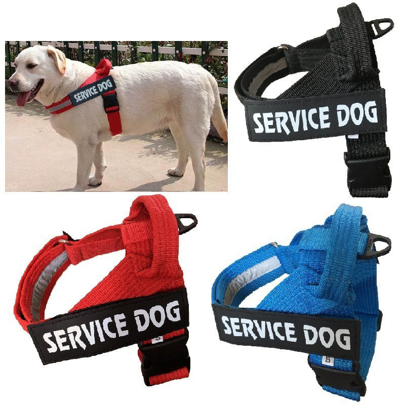 The Adventure Pup Adjustable Dog Harness Vest - No-Pull & Comfy! 🐶💪