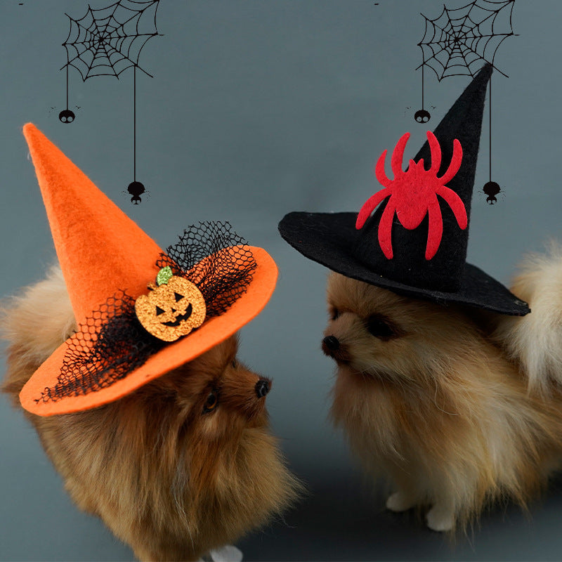 Halloween Pumpkin & Spider Hat for Dogs & Cats 🎃🐱🐶