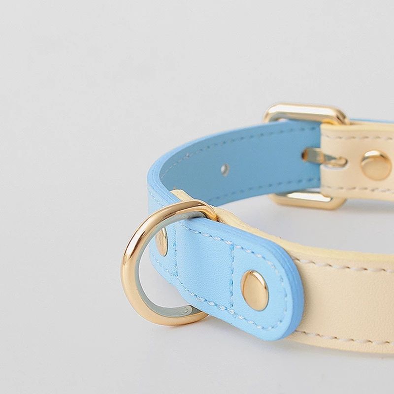 The LeatherLux Dog Collar - Genuine Leather Collar for Dogs & Cats in Gorgeous Colors! 🐶🦴