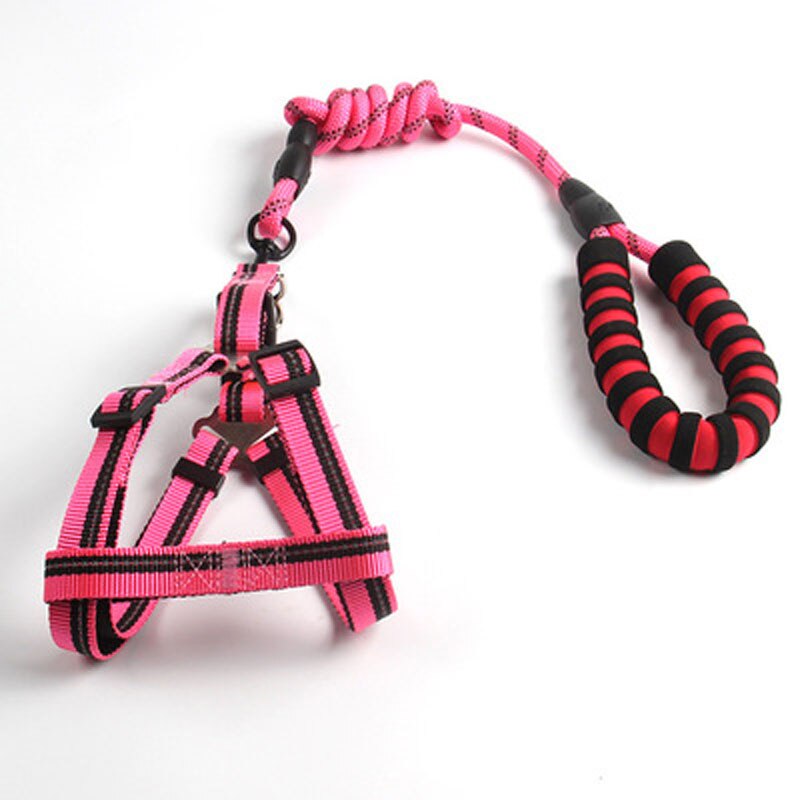 The SafeWalk Reflective Dog Leash - Heavy-Duty Nylon Walking Leash for Large Dogs! 🐶🔦