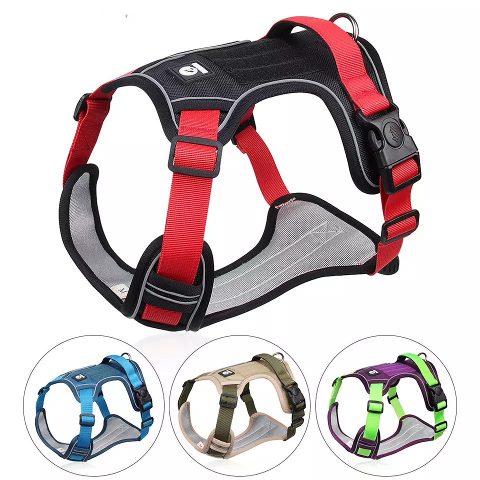 The Big Dog Boss Chest Harness - Heavy-Duty & Escape-Proof! 🐕💪