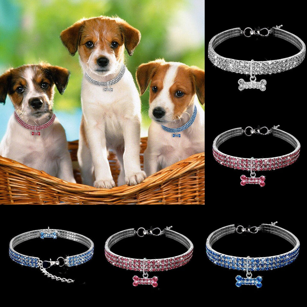 The BlingBone Crystal Dog Collar - Sparkling Bone Pendant Necklace for Small & Medium Dogs! 🐶💎