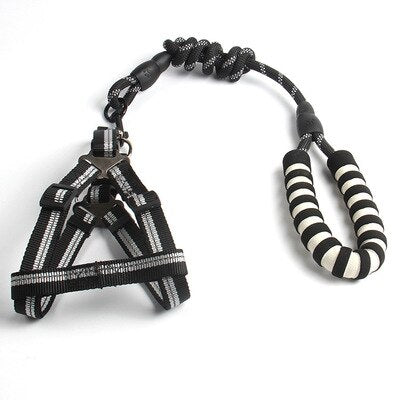 The SafeWalk Reflective Dog Leash - Heavy-Duty Nylon Walking Leash for Large Dogs! 🐶🔦