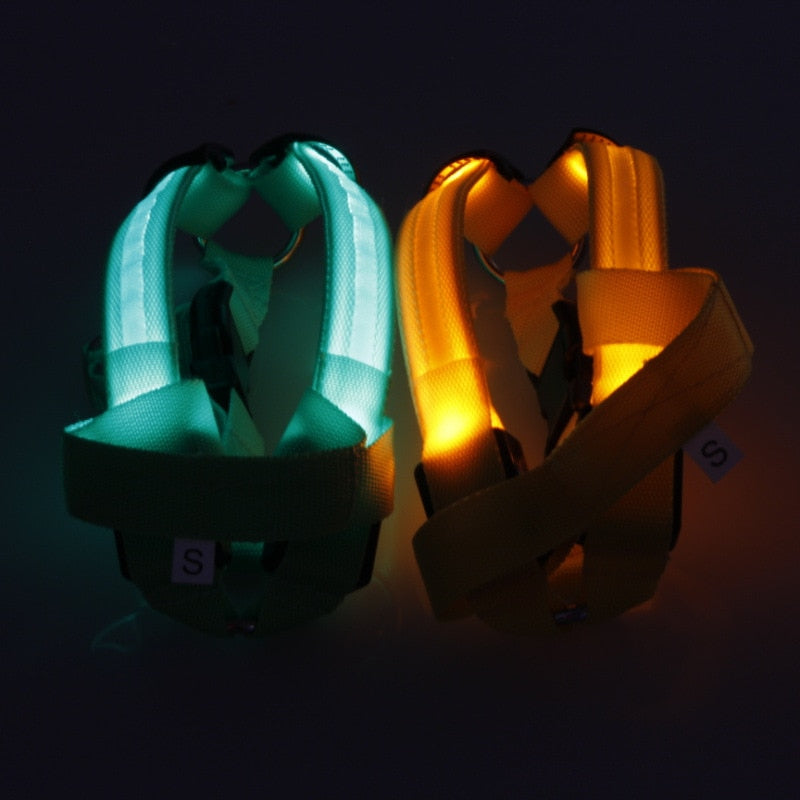 The Night Rider LED Safety Harness for Dogs - Be Seen, Stay Safe! 🐶💡