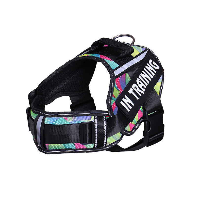 The NeckEase Reflective Dog Harness & Leash - Breathable Neck Support! 🐶💡