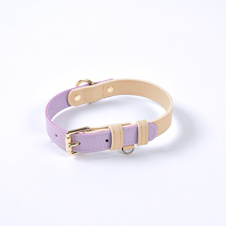 The LeatherLux Dog Collar - Genuine Leather Collar for Dogs & Cats in Gorgeous Colors! 🐶🦴