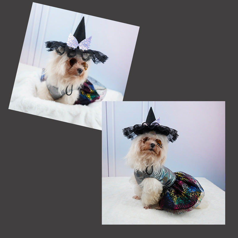 Halloween Pumpkin & Spider Hat for Dogs & Cats 🎃🐱🐶