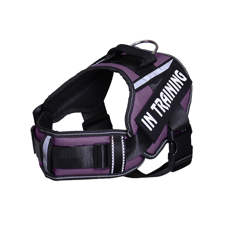 The NeckEase Reflective Dog Harness & Leash - Breathable Neck Support! 🐶💡