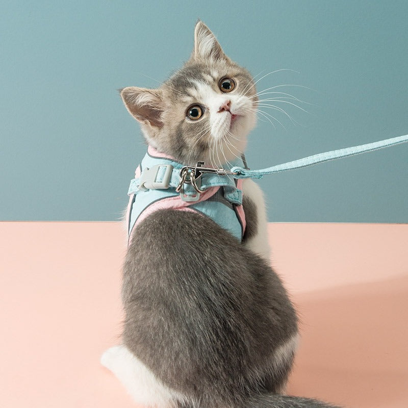 The VestWalk Suede Pet Harness Leash - Colorful Vest-Style Chest Strap for Cats & Small Dogs! 🐱🐶