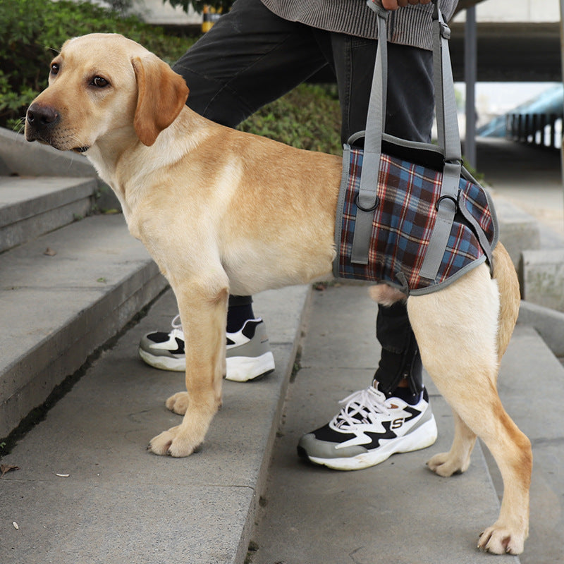 The RecoverRight Dog Leg Support Harness - Post-Surgery & Senior Dog Walking Aid! 🐶❤️‍🩹
