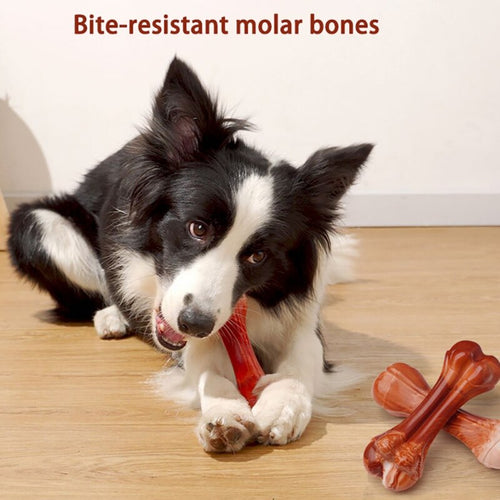 ChompGuard Beef Bone Chew Toy 🦴🐶 — Indestructible TPU Dog Bone for Aggressive Chewers