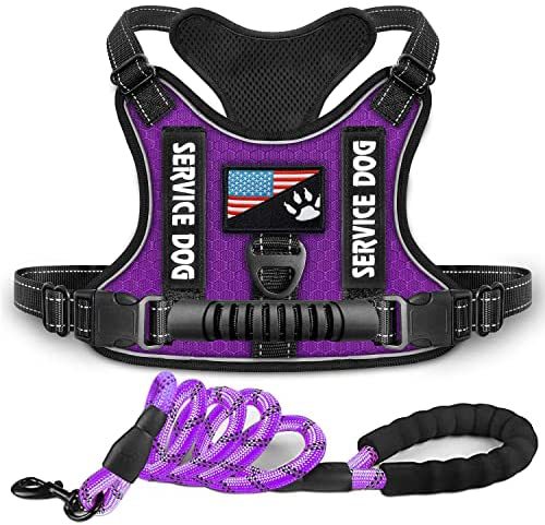 The CushionStep Shock-Absorbing Dog Harness - Comfy Vest Style! 🐶💨