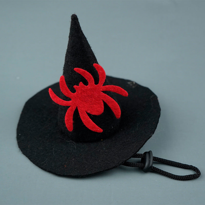 Halloween Pumpkin & Spider Hat for Dogs & Cats 🎃🐱🐶