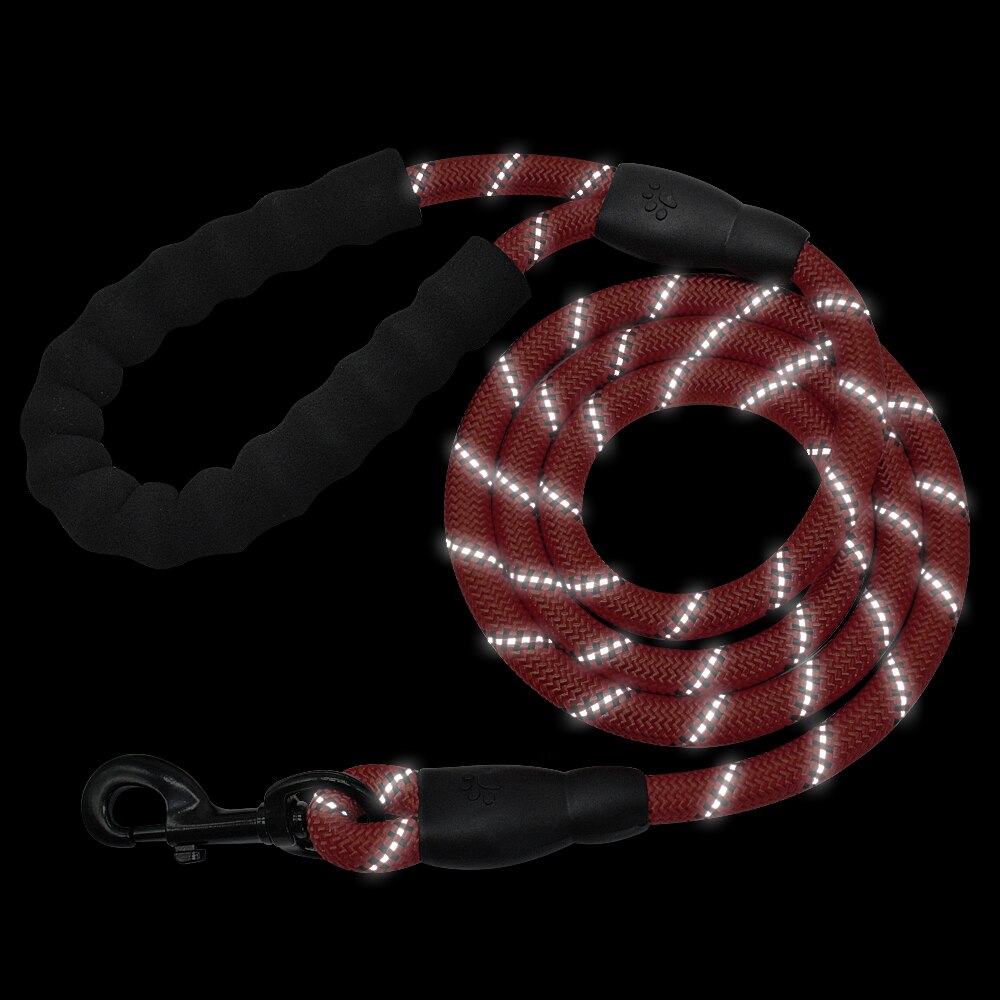 The NightWalk Reflective Dog Leash - Heavy-Duty Nylon Lead for Dogs of All Sizes! 🐶🔦