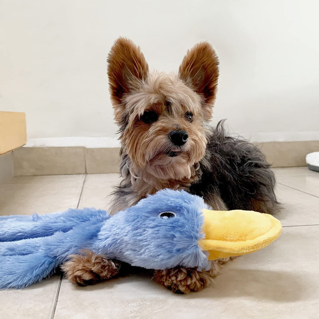 FlatQuack Plush Squeaky Duck Dog Toy 🦆🐶 — Soft Unfilled Crinkle Chew Toy for Dogs