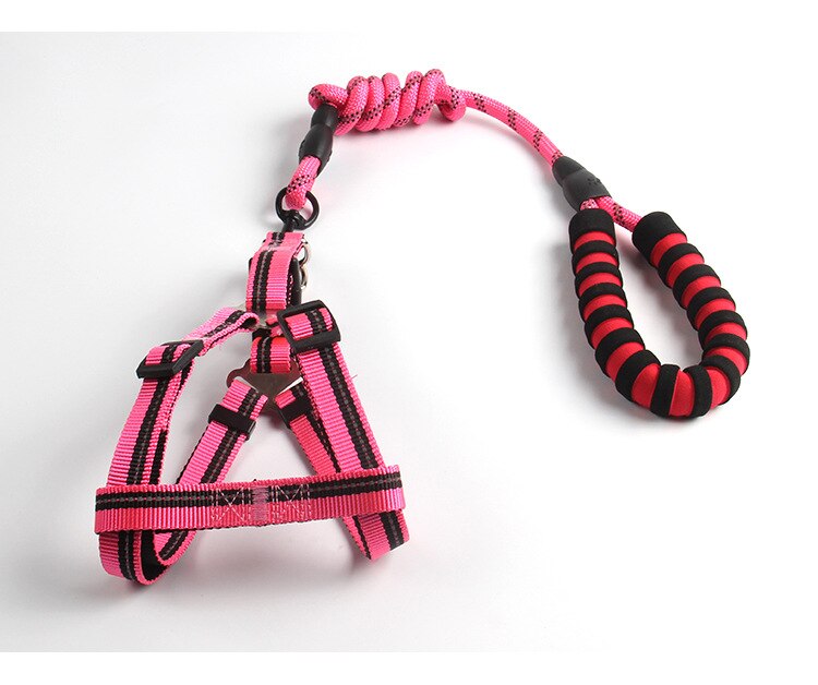 The SafeWalk Reflective Dog Leash - Heavy-Duty Nylon Walking Leash for Large Dogs! 🐶🔦