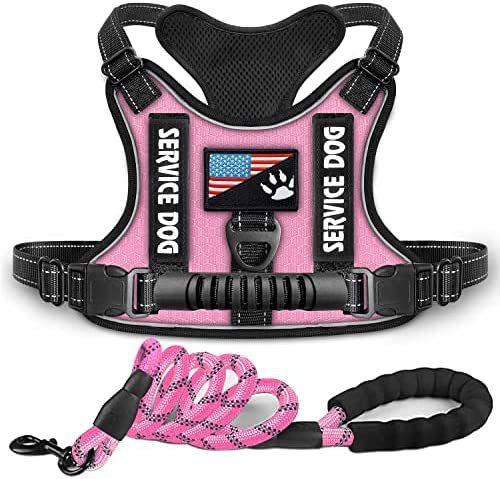 The CushionStep Shock-Absorbing Dog Harness - Comfy Vest Style! 🐶💨