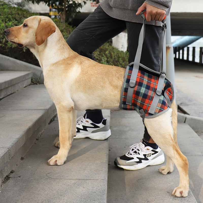 The RecoverRight Dog Leg Support Harness - Post-Surgery & Senior Dog Walking Aid! 🐶❤️‍🩹