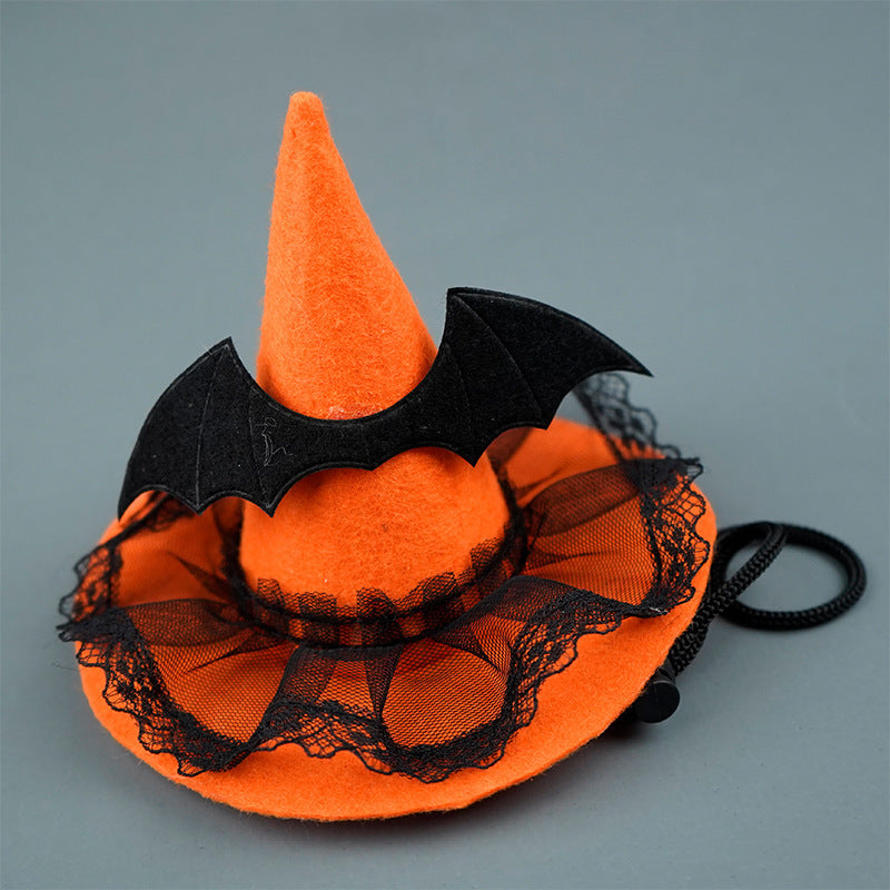Halloween Pumpkin & Spider Hat for Dogs & Cats 🎃🐱🐶