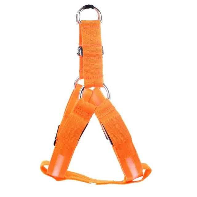 The Night Rider LED Safety Harness for Dogs - Be Seen, Stay Safe! 🐶💡