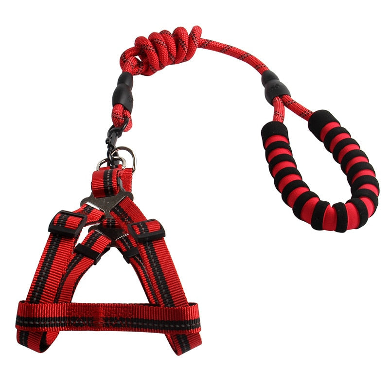 The SafeWalk Reflective Dog Leash - Heavy-Duty Nylon Walking Leash for Large Dogs! 🐶🔦