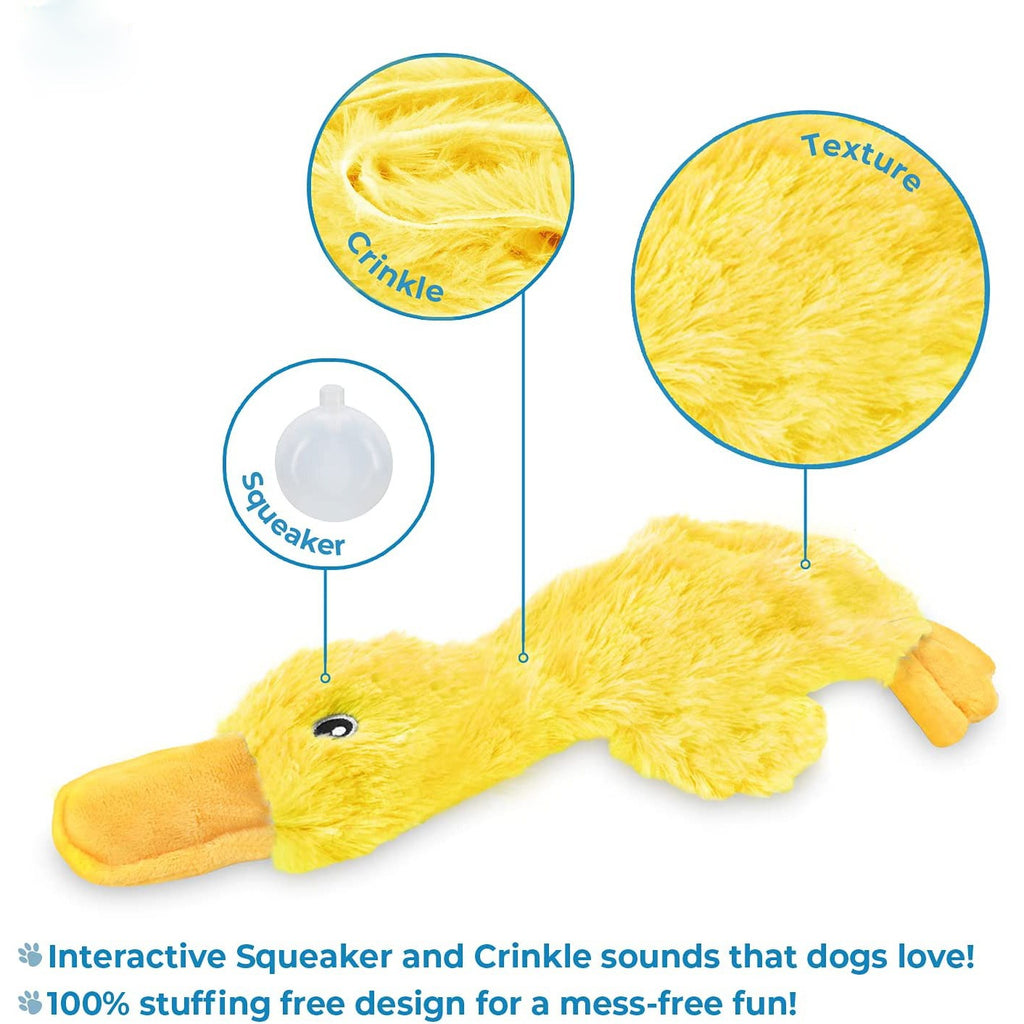 FlatQuack Plush Squeaky Duck Dog Toy 🦆🐶 — Soft Unfilled Crinkle Chew Toy for Dogs