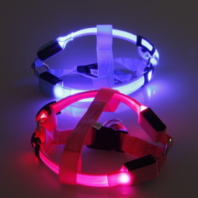 The Night Rider LED Safety Harness for Dogs - Be Seen, Stay Safe! 🐶💡