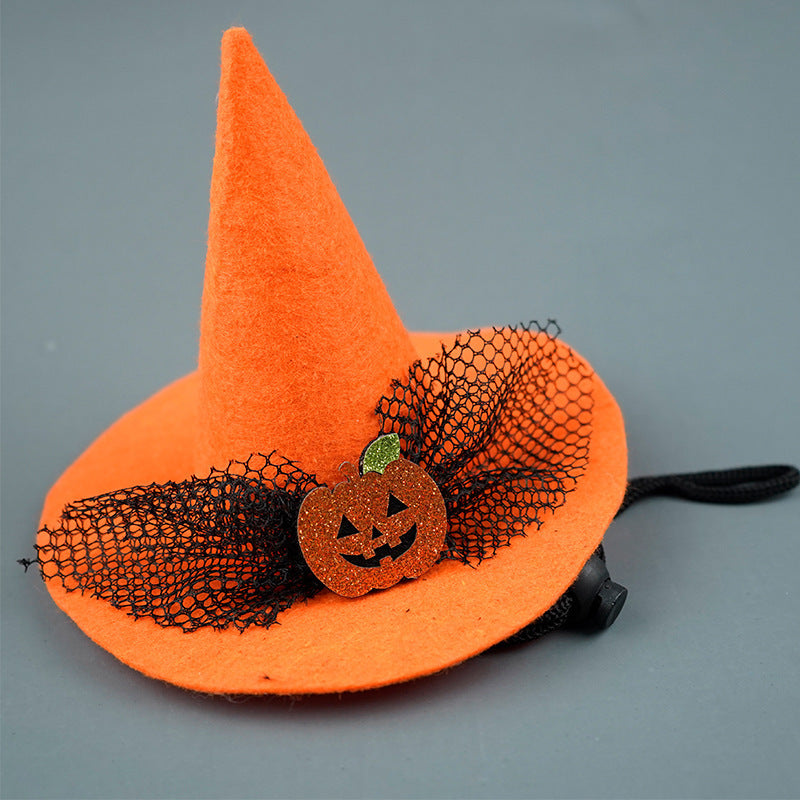 Halloween Pumpkin & Spider Hat for Dogs & Cats 🎃🐱🐶