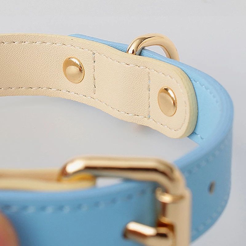 The LeatherLux Dog Collar - Genuine Leather Collar for Dogs & Cats in Gorgeous Colors! 🐶🦴