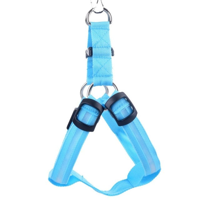 The Night Rider LED Safety Harness for Dogs - Be Seen, Stay Safe! 🐶💡