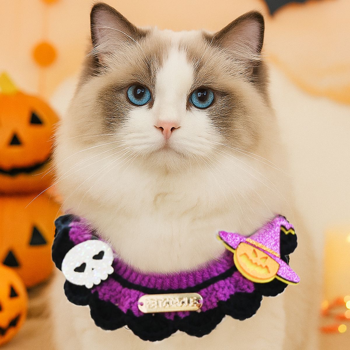 Halloween Spooky Bandana & Collar Scarf for Dogs & Cats 🎃