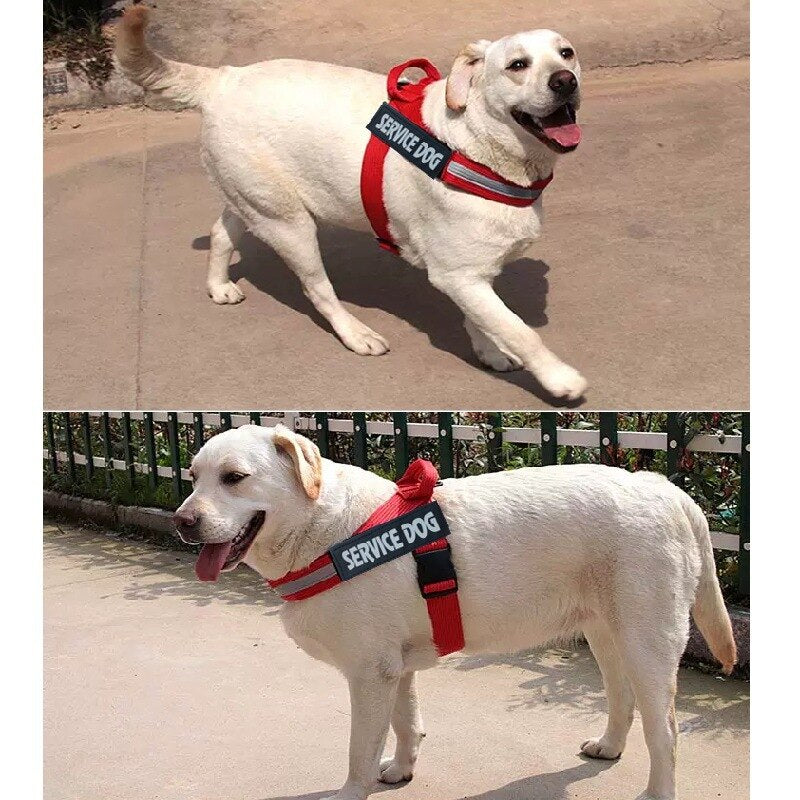 The Adventure Pup Adjustable Dog Harness Vest - No-Pull & Comfy! 🐶💪
