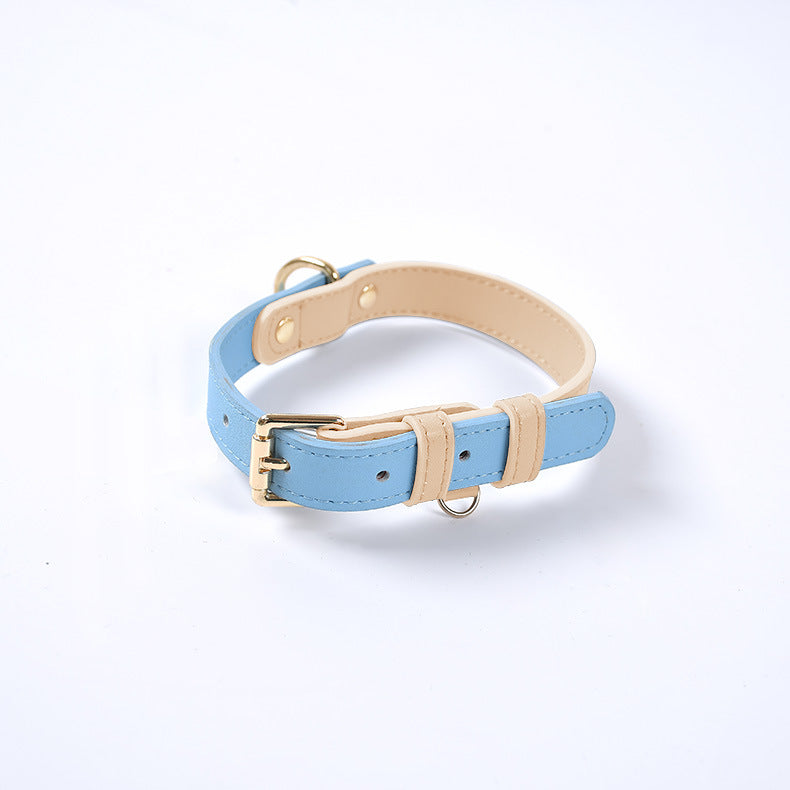 The LeatherLux Dog Collar - Genuine Leather Collar for Dogs & Cats in Gorgeous Colors! 🐶🦴