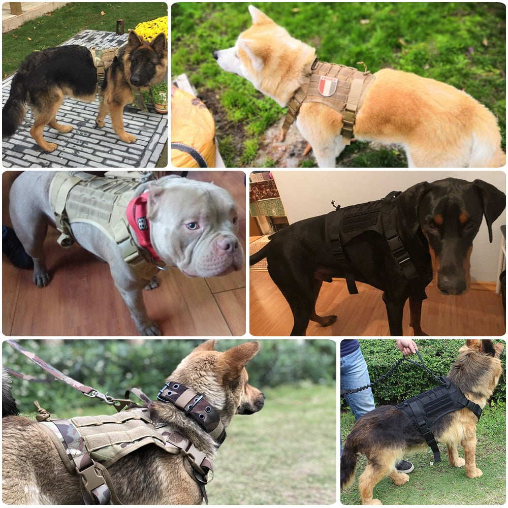 The Alpha Dog Tactical Harness - Military-Grade MOLLE Vest! 🐕🏆