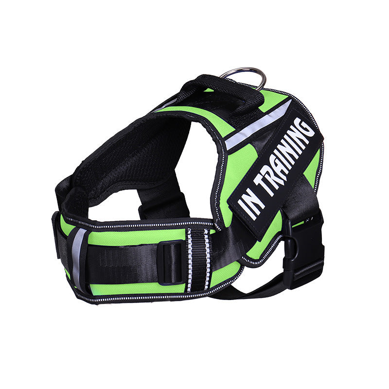 The NeckEase Reflective Dog Harness & Leash - Breathable Neck Support! 🐶💡