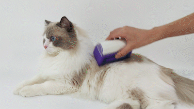 The Shed Happens Self-Cleaning Pet Comb - Tangle & Fur Buster! 🐾✨