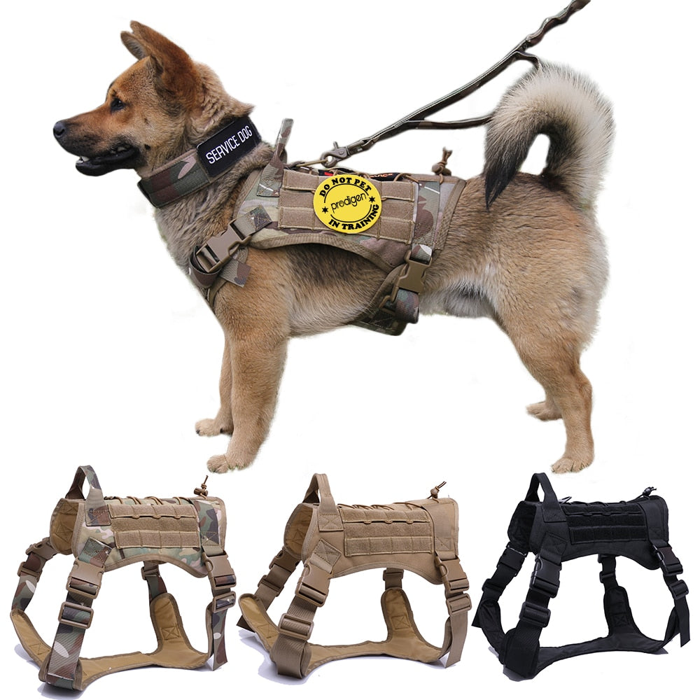 The Alpha Dog Tactical Harness - Military-Grade MOLLE Vest! 🐕🏆
