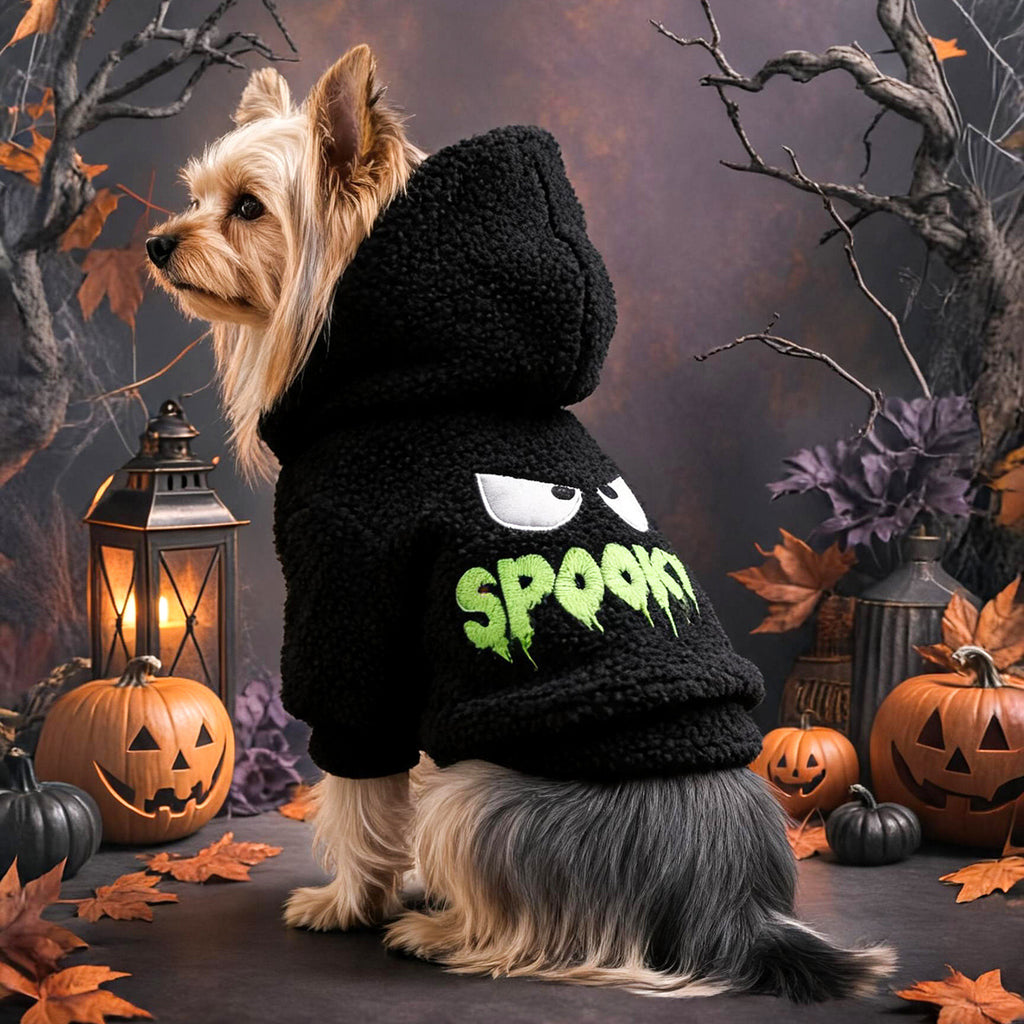 Boo-tiful Ghost Hoodie for Small Dogs & Cats 👻🖤