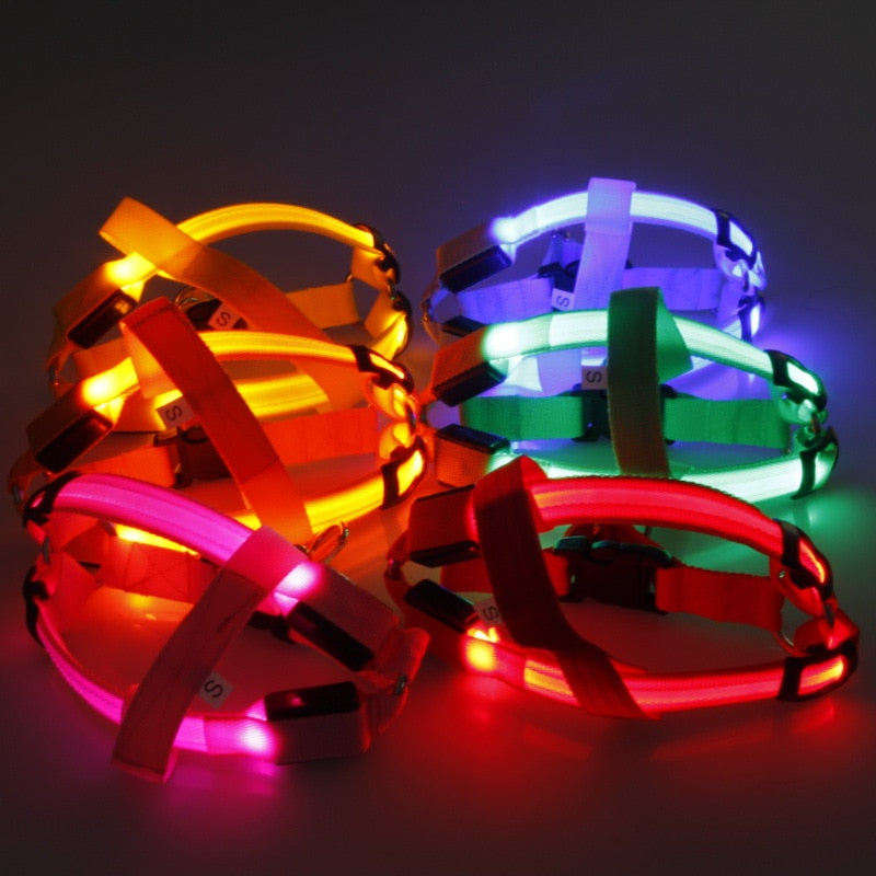 The Night Rider LED Safety Harness for Dogs - Be Seen, Stay Safe! 🐶💡