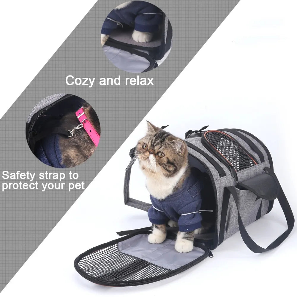 🐾 The Ultimate 6-in-1 Folding Pet Carrier – Bag, Car Seat, Basket & More! 🐶🐱
