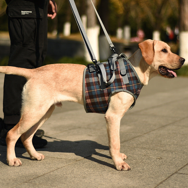 The RecoverRight Dog Leg Support Harness - Post-Surgery & Senior Dog Walking Aid! 🐶❤️‍🩹