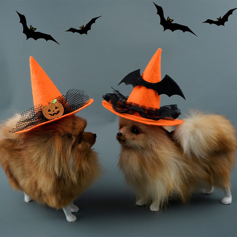 Halloween Pumpkin & Spider Hat for Dogs & Cats 🎃🐱🐶