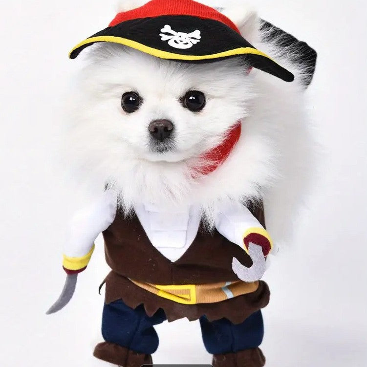 Paws on Deck! Pirate Dog Costume ☠️🐾
