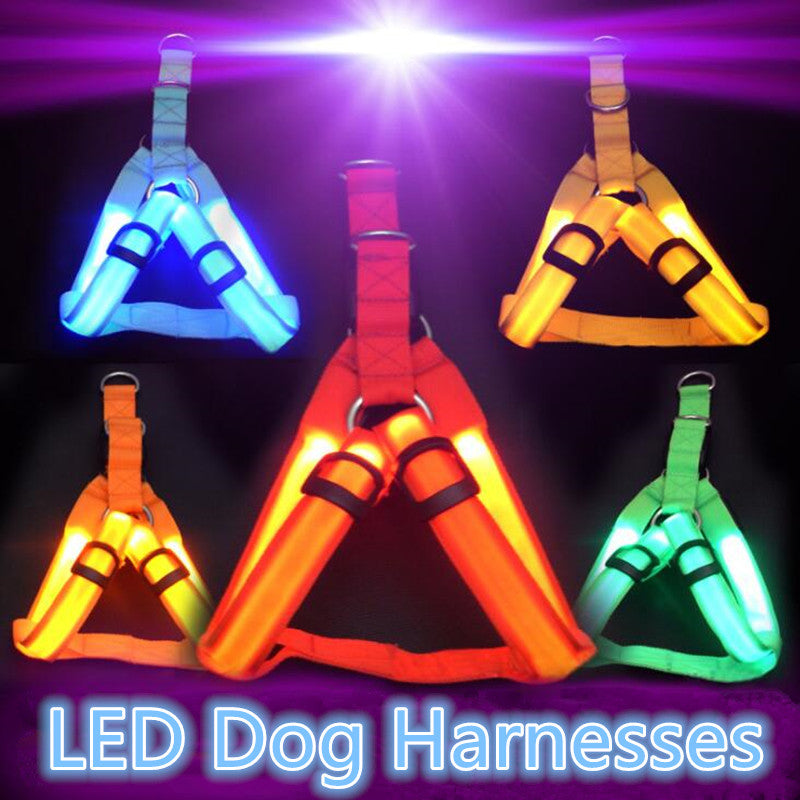 The Night Rider LED Safety Harness for Dogs - Be Seen, Stay Safe! 🐶💡