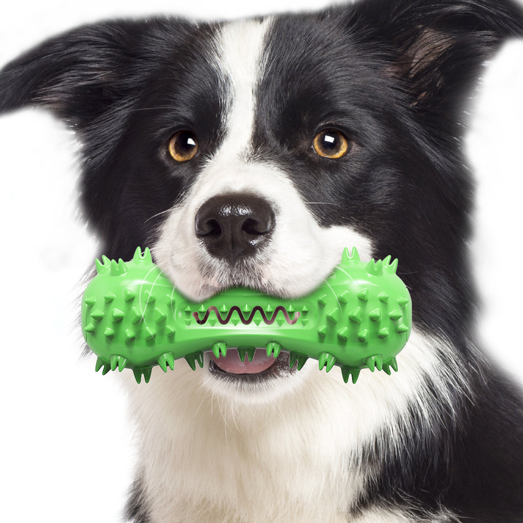 GrindGuard TPR Molar Chew Stick 🦷🐶 — Squeaky Teeth-Cleaning Bone Toy for Dogs