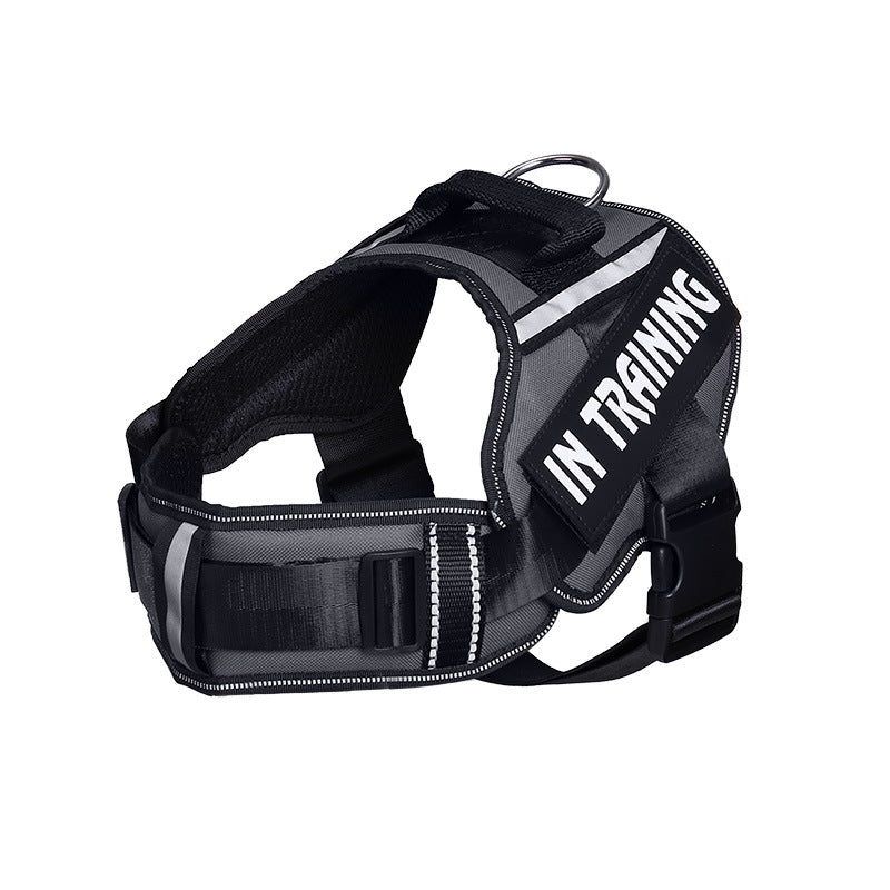 The NeckEase Reflective Dog Harness & Leash - Breathable Neck Support! 🐶💡