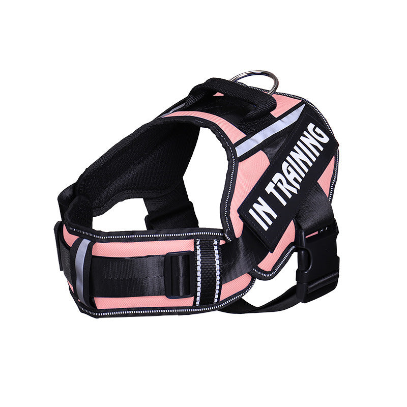 The NeckEase Reflective Dog Harness & Leash - Breathable Neck Support! 🐶💡