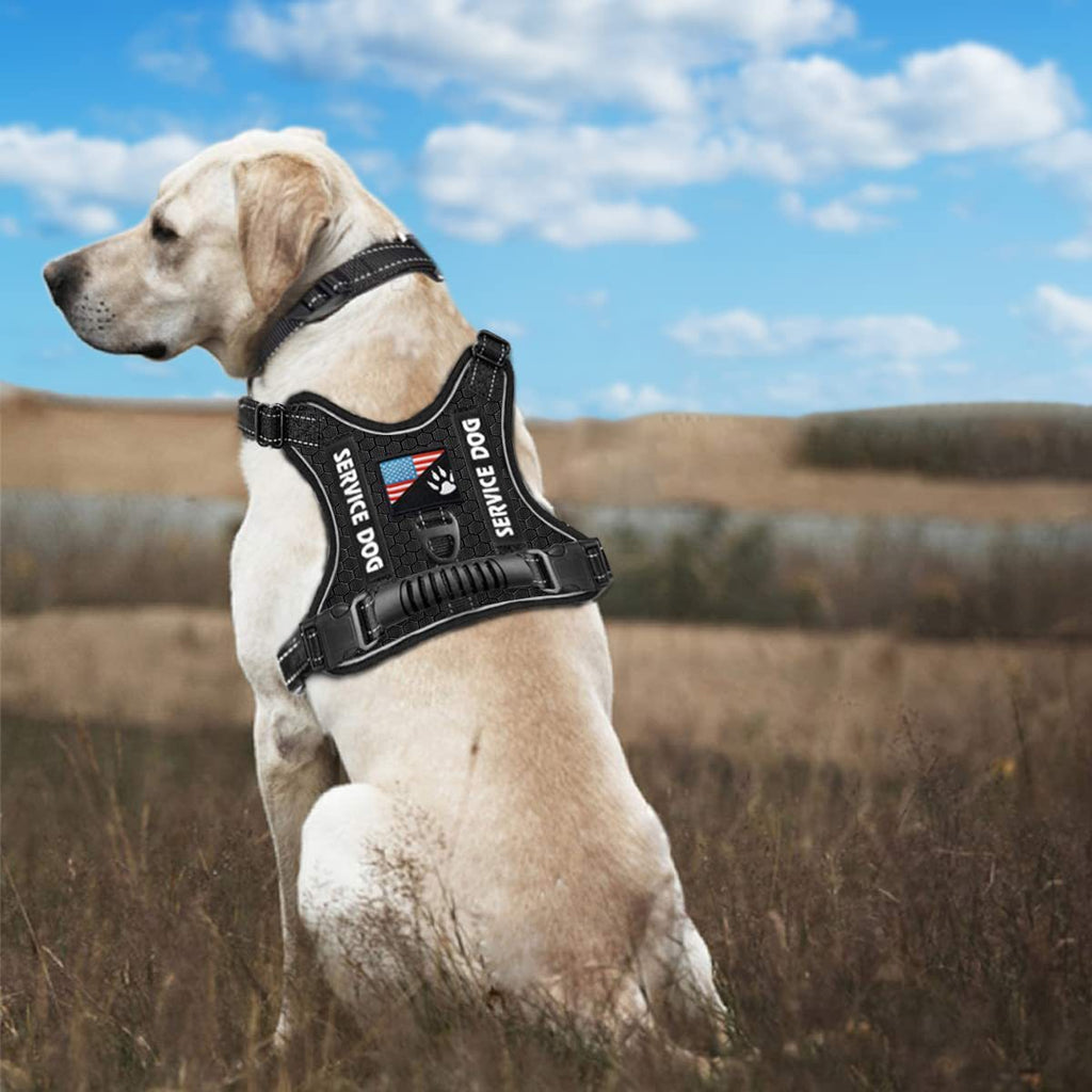 The CushionStep Shock-Absorbing Dog Harness - Comfy Vest Style! 🐶💨
